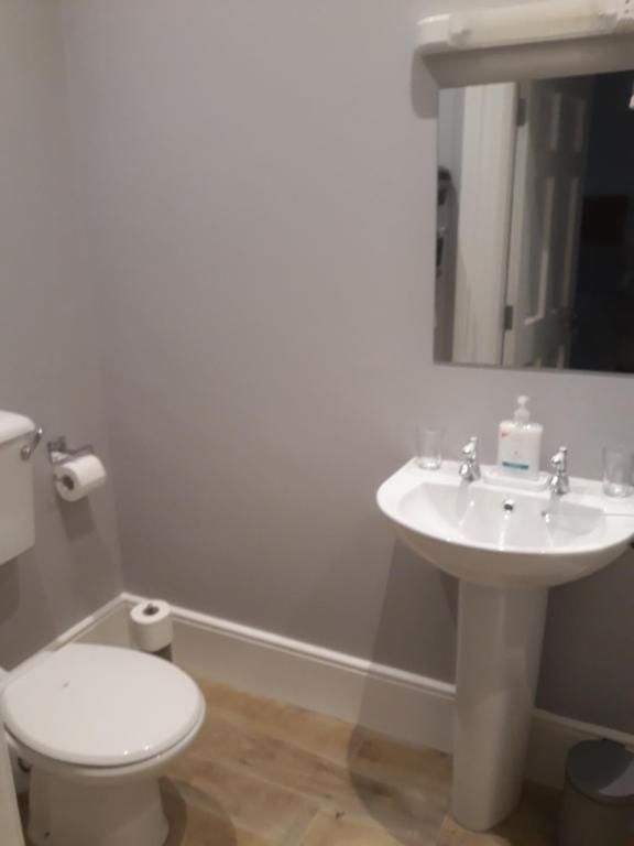 Гостевой дом Clone manor farm guesthouse Килкенни